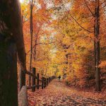 دانلود آهنگ جدید میخوای بری برو برنگرد برو بزن به بختتم لگد
